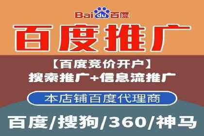成功SEM推广代运营案例展示